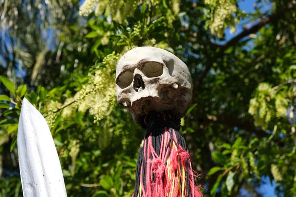 Skull Nailed Pike Polynesian Tribal Rite — Stock Photo, Image