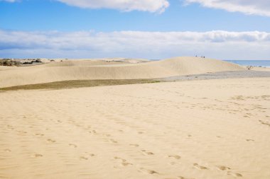 Maspaloma 'nın Kanarya sahilindeki kum tepeleri.