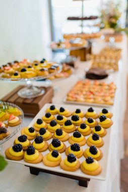 Düğün büfesinde sunulan lezzetli mezeler.