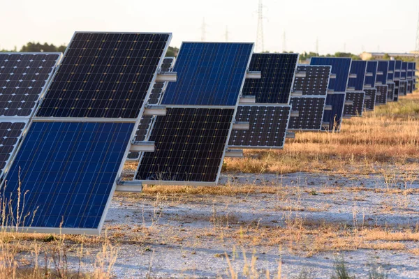 Semi Desert Field Solar Panels Generate Electricity Sunset Royalty Free Stock Photos