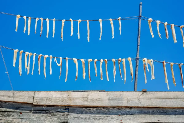 Clean Cod Fillets Hanging Sun Drying Traditional Fisherman Hut Quality —  Fotos de Stock