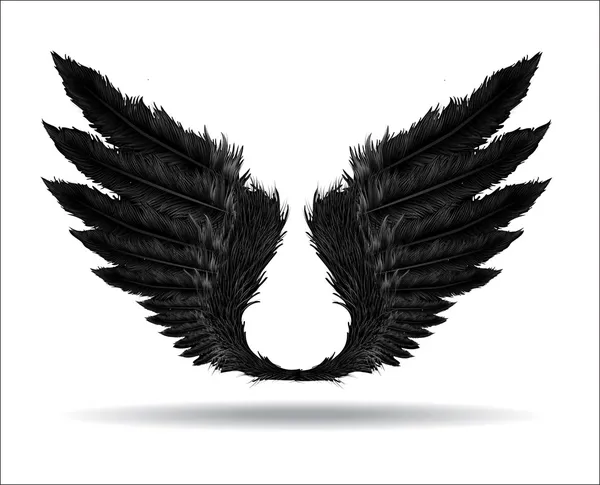 Flügel der Finsternis — Stockvektor