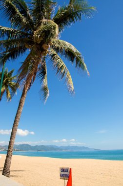 Vietnam nha trang beach manzara mavi gökyüzünün altında