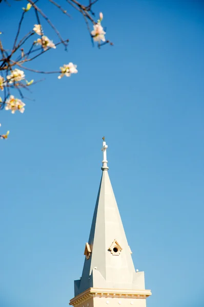 La cúpula de la iglesia bajo el cielo azul — Foto de Stock