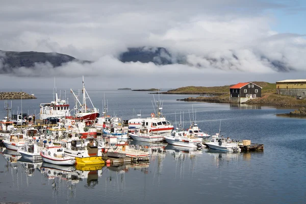 村漁港 djupivogur アイスランド — ストック写真