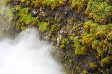 yeşil çim ve düşen su buharı ile kaya