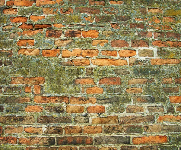 Bakstenen muur achtergrond, textuur — Stockfoto