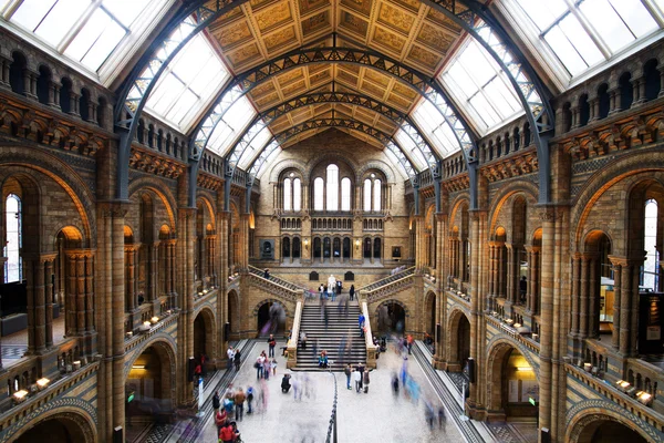 Natural History Museum, London — Stock Photo, Image