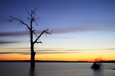 eski göl günbatımı manzara ağacında