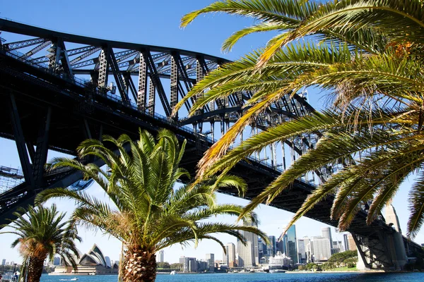 Sydney harbour Köprüsü ve şehir manzarası ile avuç içi, Avustralya