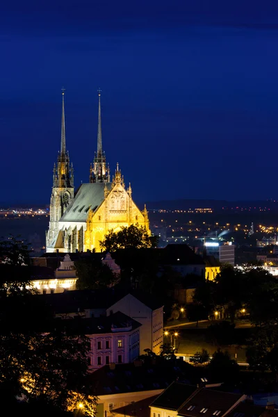 Iluminado San Pedro y Pablo Catedral de noche, Brno —  Fotos de Stock