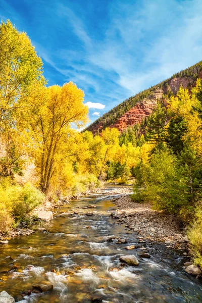 Řeka Obklopená Překrásnými Žlutými Asfaltovými Stromy Jasnou Modrou Oblohou Colorado — Stock fotografie