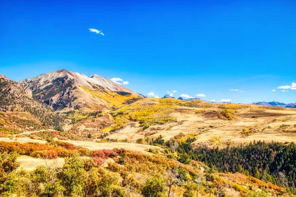 Pohled Poslední Dollar Road Obklopen Krásnými Žlutými Asfaltovými Stromy Podzim — Stock fotografie