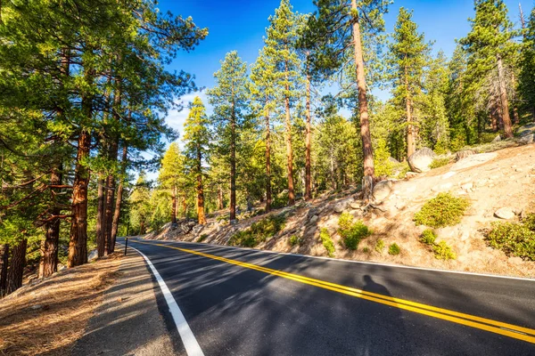 Estrada Parque Nacional Yosemite Durante Dia Ensolarado Califórnia Eua — Fotografia de Stock