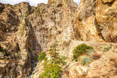 Kings Canyon Ulusal Parkı Peyzajı, Kaliforniya, ABD 