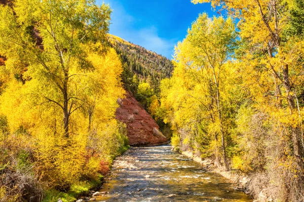 Řeka Obklopená Krásnými Žlutými Asfaltovými Stromy Podzim Jasnou Modrou Oblohou — Stock fotografie