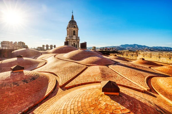 Malaga Cathedral Rooftop Sunset Malaga Andalucia Spain — Zdjęcie stockowe