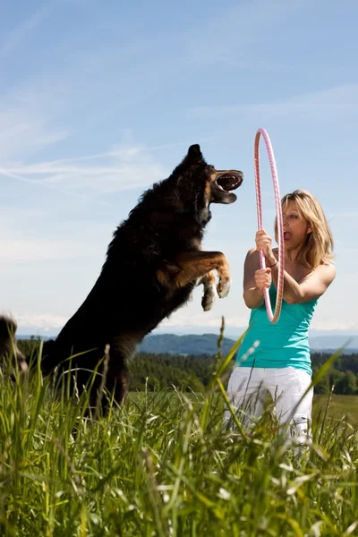 Young blond woman holding hula hoop and dog jumps through — Stock fotografie