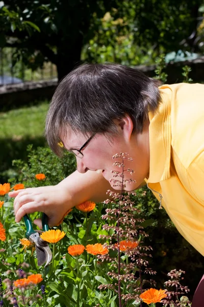 Disabled woman cuts flowers in the garden — Stok fotoğraf