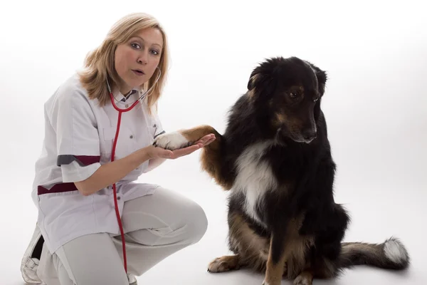 Läkare med hund — Stockfoto