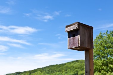 Nesting box in front of sunny background