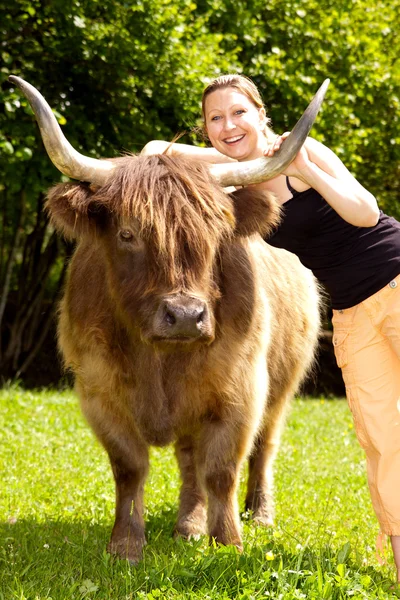 Young pretty woman hugs an highland cattle — Stock Photo, Image