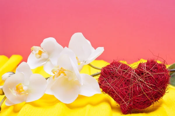 Colored background with heart and orchid — Stock Photo, Image