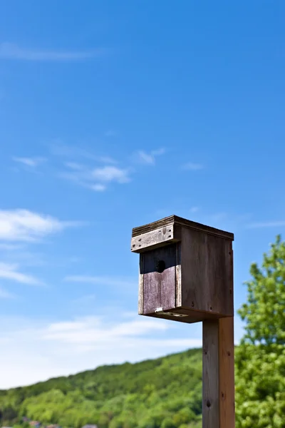 Birdhouse in front of sunny background — Stock Photo, Image