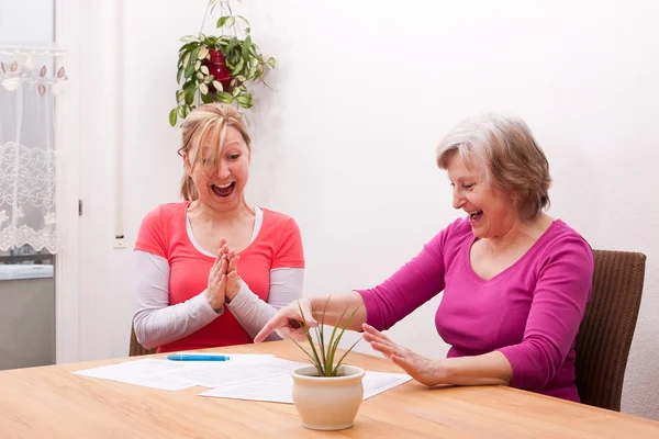 Two women get joyful message — Zdjęcie stockowe