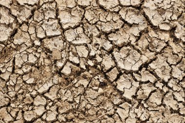 Dried soil structure, background