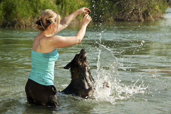 Woman in water animated dog to play — 图库照片