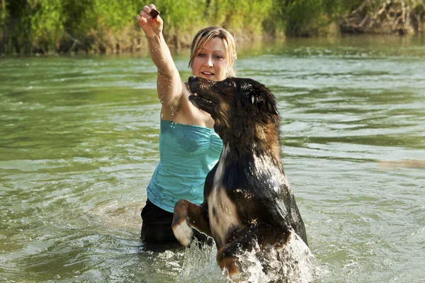 Dog and woman are playing in water — 图库照片