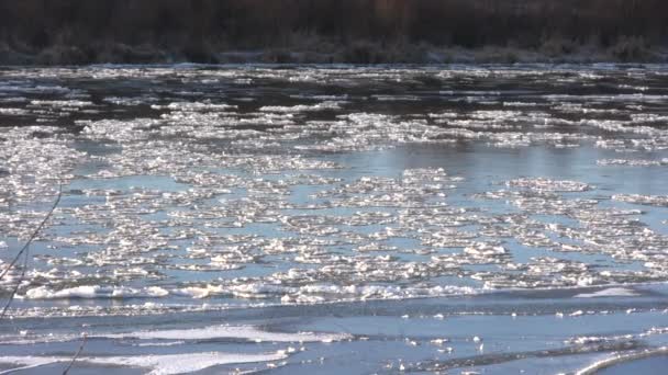 Ijsdrift in een rivier bij zonsondergang 1 — Stockvideo