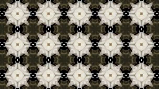Organisches Kaleidoskop aus blühendem weißen Kaktus 8a — Stockvideo