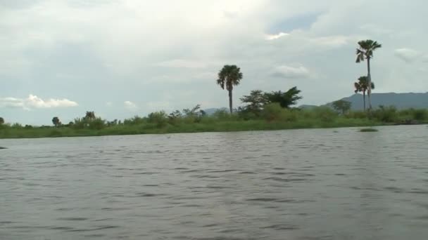 Malawi: viajar en barco — Vídeo de stock