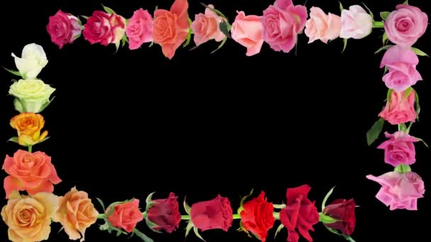 Montázs nyitó színes rózsák idő-lapse az alfa Matt 7x