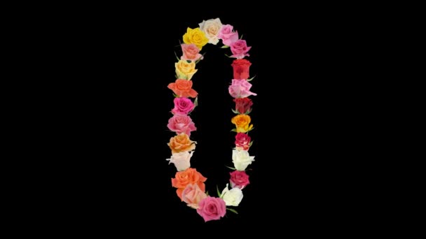 Montagem abertura arco-íris rosas número 0x forma alfa matte 0n — Vídeo de Stock