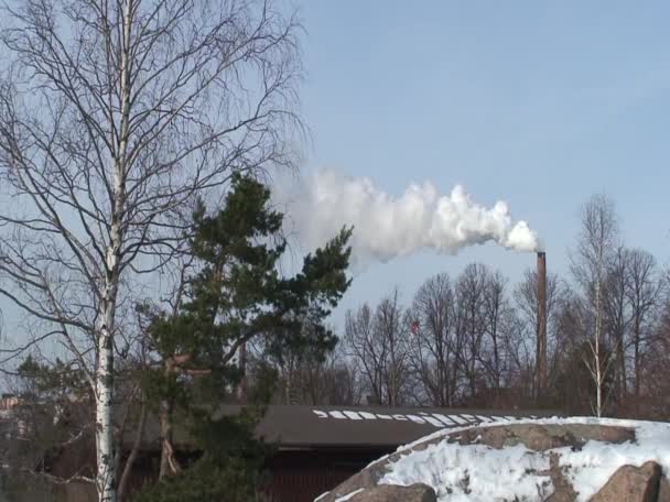 冬の煙突からの白い蒸気5 — ストック動画