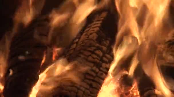 Камін, що горить дерев'яний колода чотири, крупним планом — стокове відео