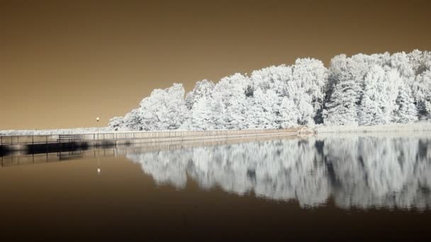 Infraröd Flora: reflektioner av träd i ett vatten 1 — Stockvideo