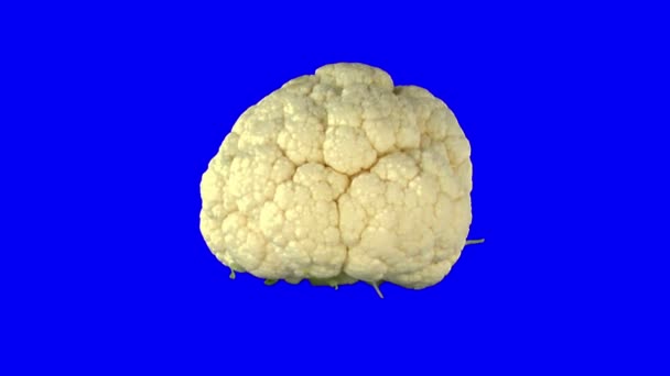 Rotating seamless looping cauliflower vegetable 1x — Stock Video