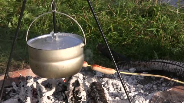 Cucinare le salsicce in un falò 2 — Video Stock