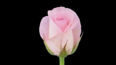 Açılış hızlandırılmış 