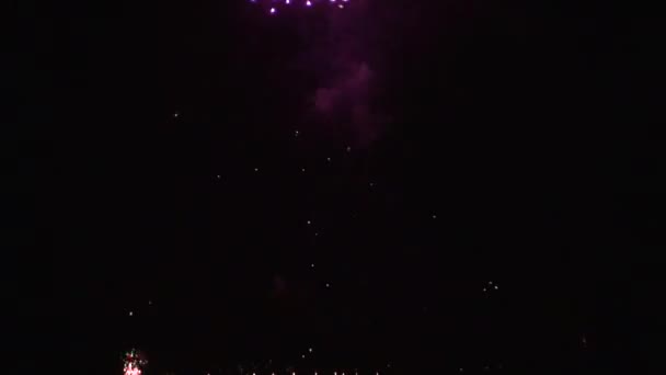 Tűzijátékok egy a város felett — Stock videók