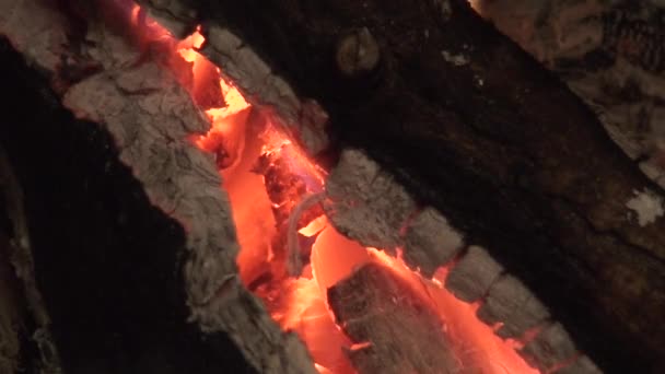 Lareira queima madeira log dois, close-up — Vídeo de Stock