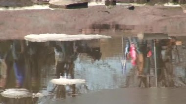 Reflections of walking