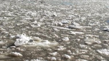 Çöp-buz hareketi bir