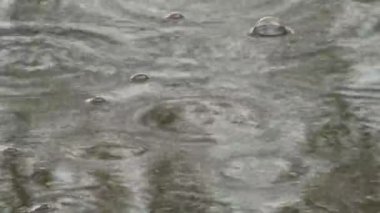 Bir yağmur iki Kabarcıklar