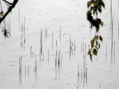 Deniz kıyısında yağmur