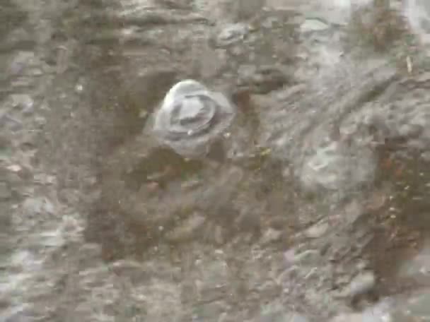 雨中的气泡 3 — 图库视频影像
